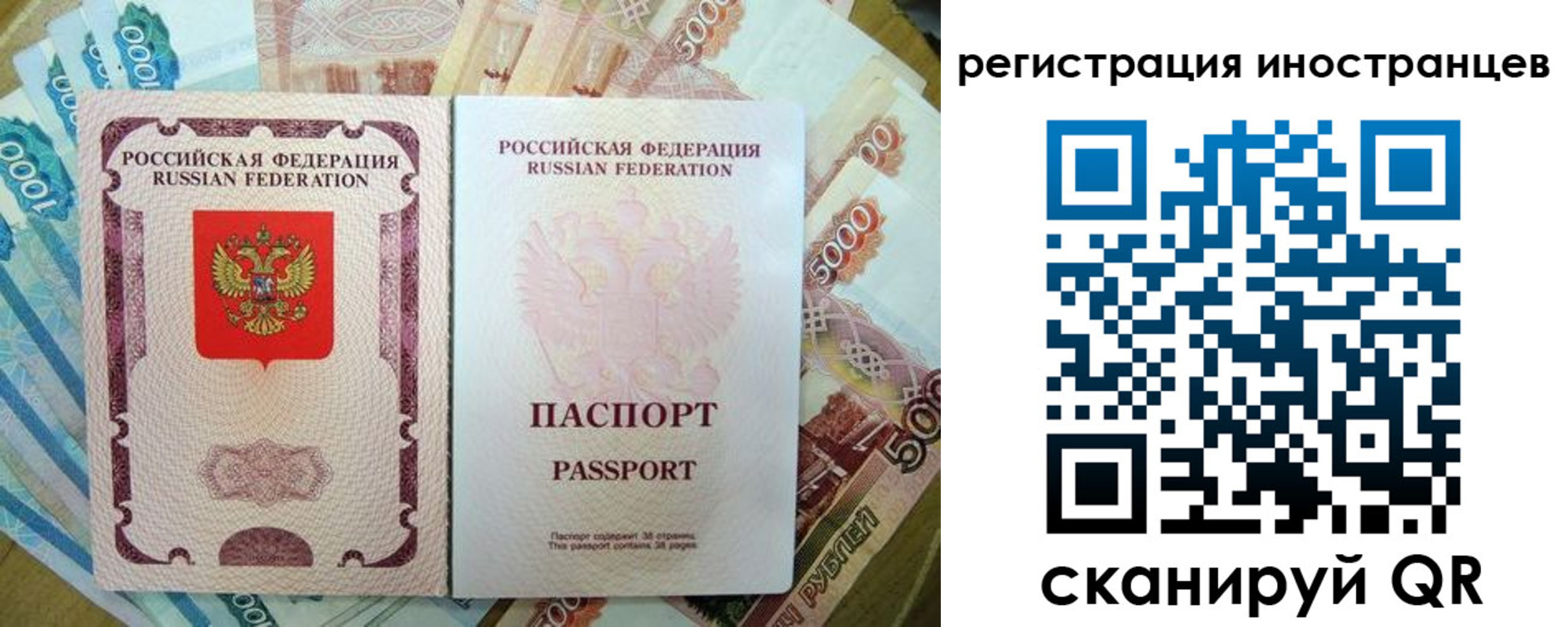 пропишу в квартире в Вязьме